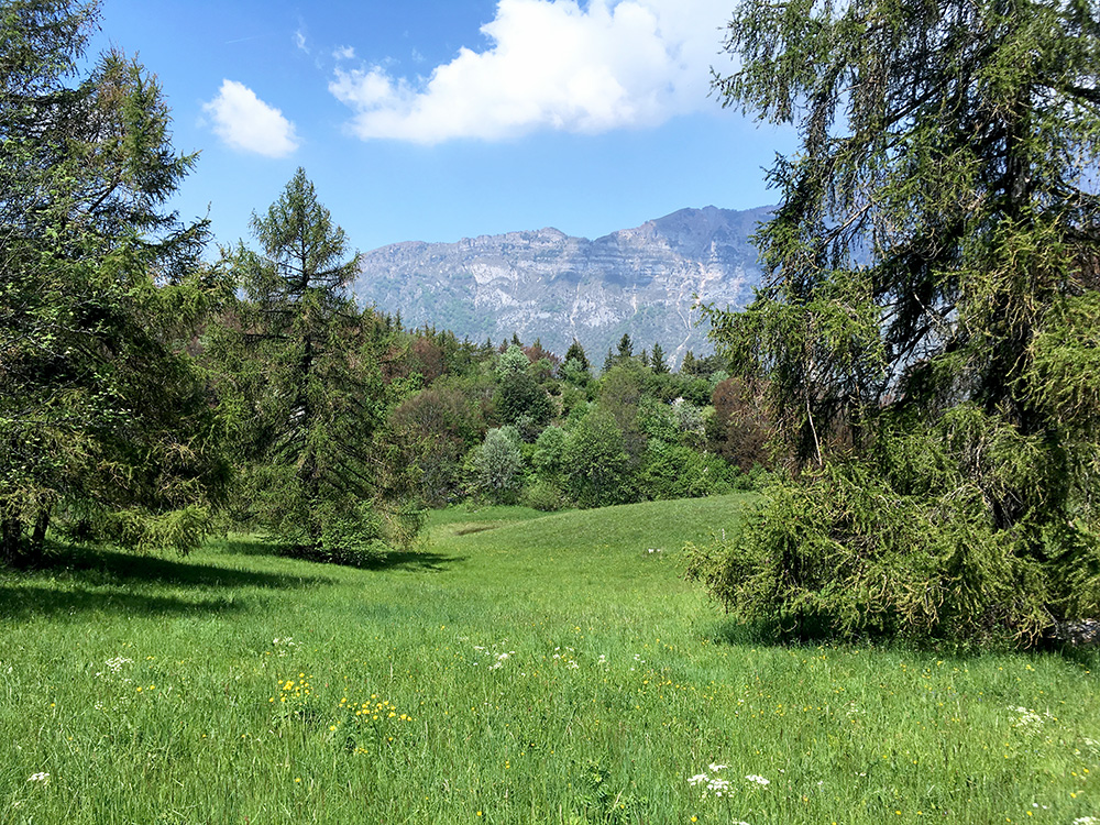 Bochetta/Bochta (Cimana di Pomarolo)