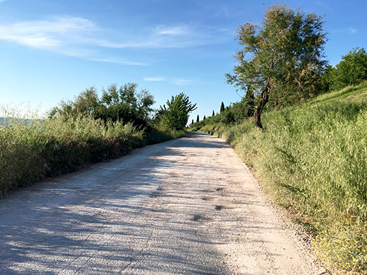 Best paved roads of Italy ...