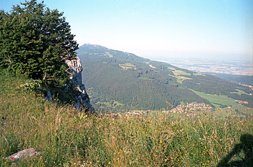 Mont d’Or
