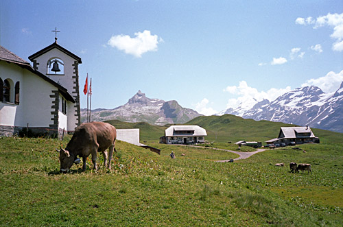 Melchsee-Frutt/Tannen