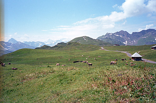 Melchsee-Frutt/Tannen