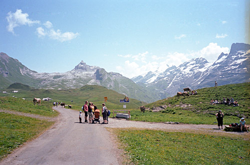 Melchsee-Frutt/Tannen