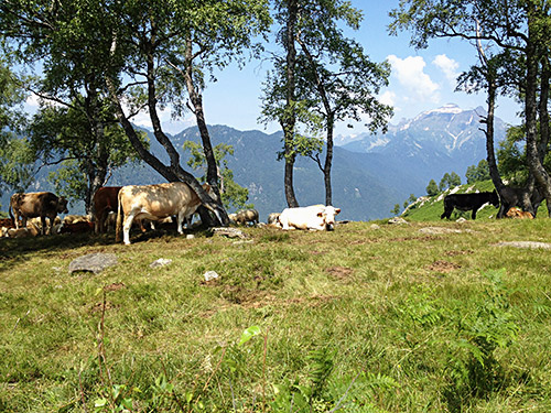 Alpe Coipo/Giovera di Sopra