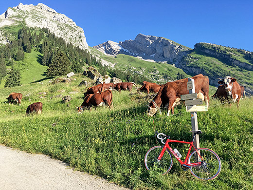 Col des Confins