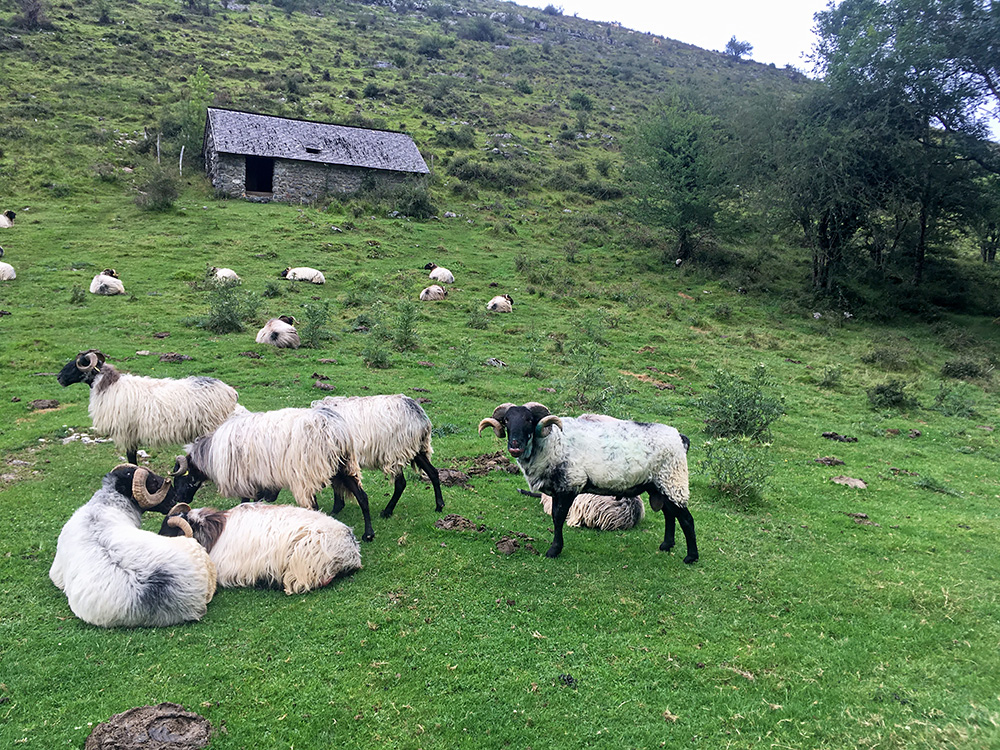 Col d’Arangaitz/Arangatz/Arangaitzeko Lepoa/Col de Lecharria