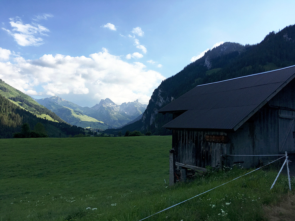 Obersimmental