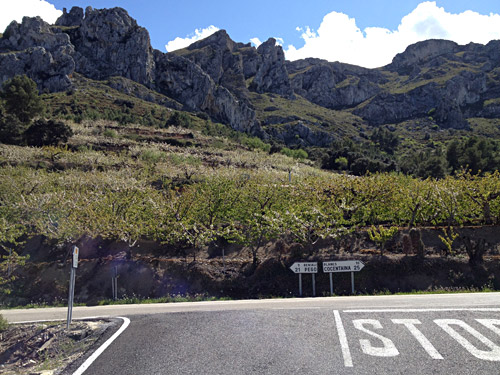Vall de Gallinera road choice