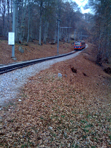 Monte Generoso/Stazione Bellavista + train