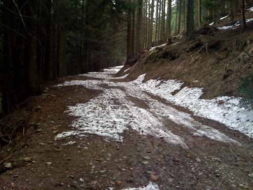 Prato Maslino road where I turned around