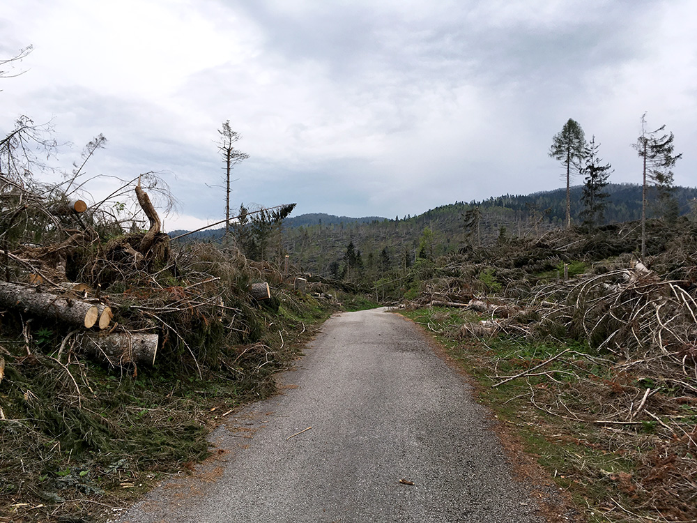 Rifugio Barricata