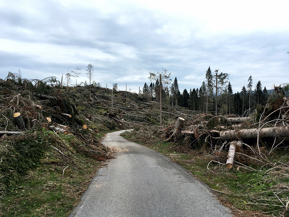 Rifugio Barricata