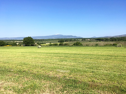 Mont Ventoux in the distance