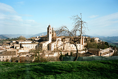 Urbino