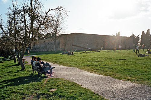 Urbino