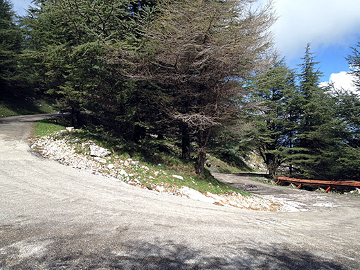 Monte Cammarata
