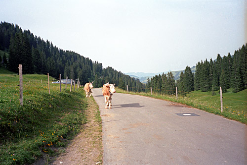 Mittelberg