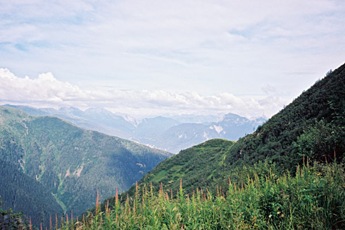 Panoramica delle Vette (pass at Valsecca)