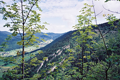 route du Col de la Molire