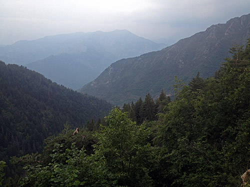 Col de Turini