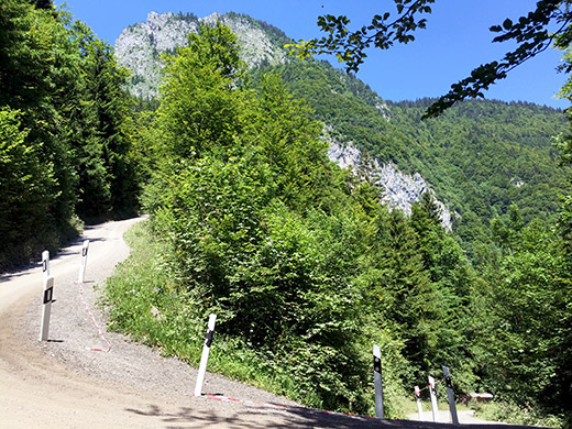 Col de Taney