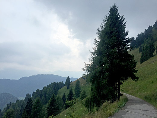 Strada delle Malghe