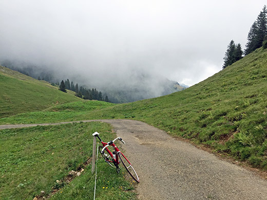 Obergelchenwang-Alpe/Leiterberg