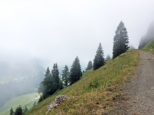 Obergelchenwang-Alpe/Leiterberg