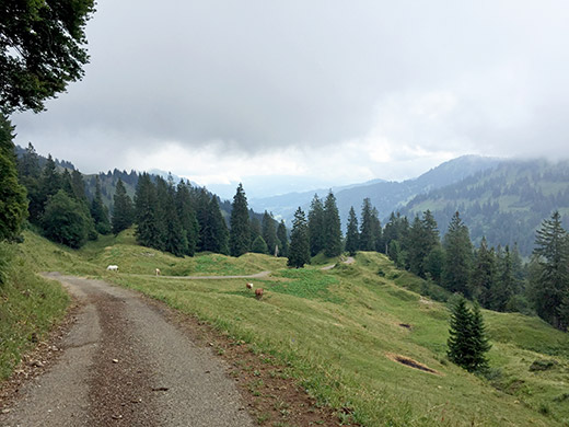 Obergelchenwang-Alpe/Leiterberg