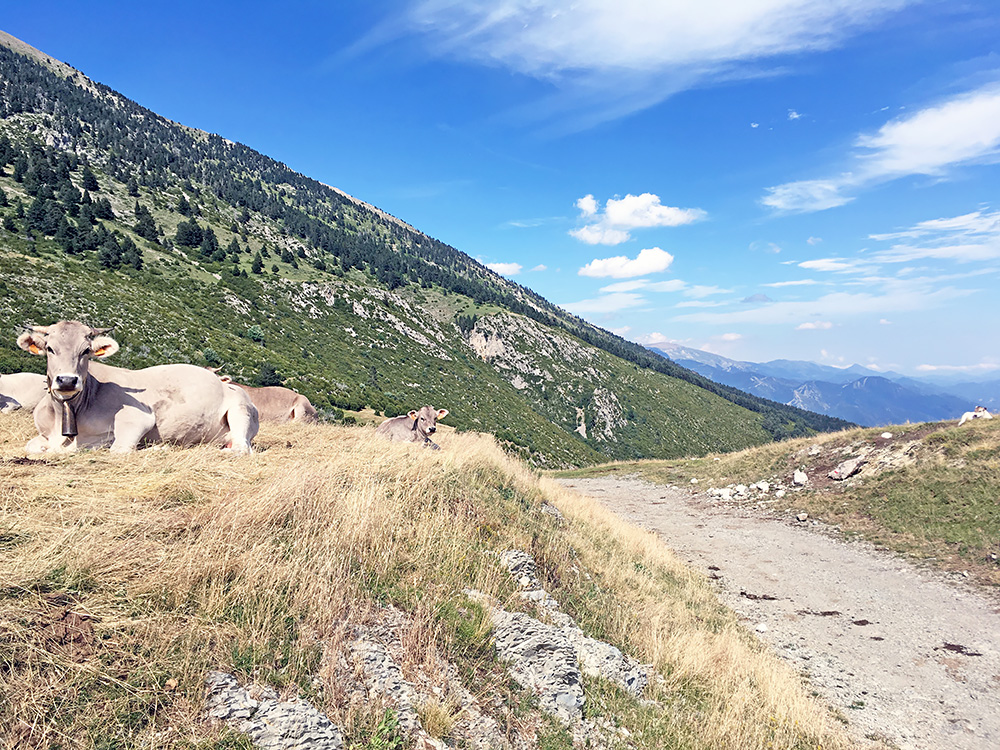 Coll de Font Cerdana