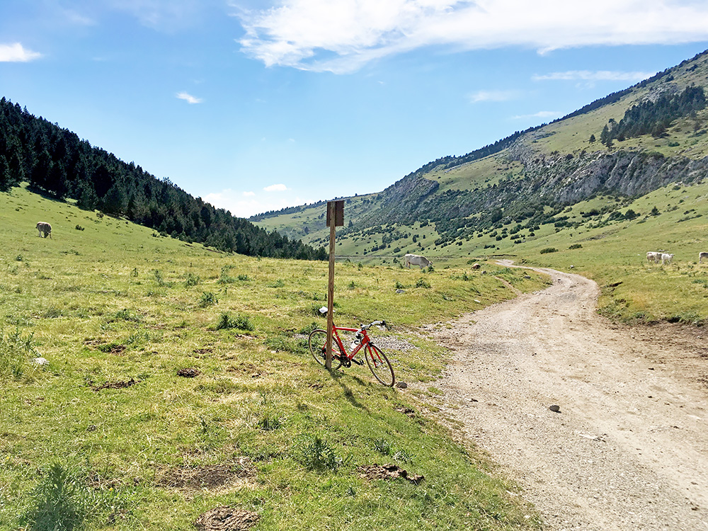 Coll de Torn