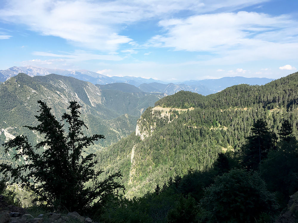 Coll de Pi Ajegut