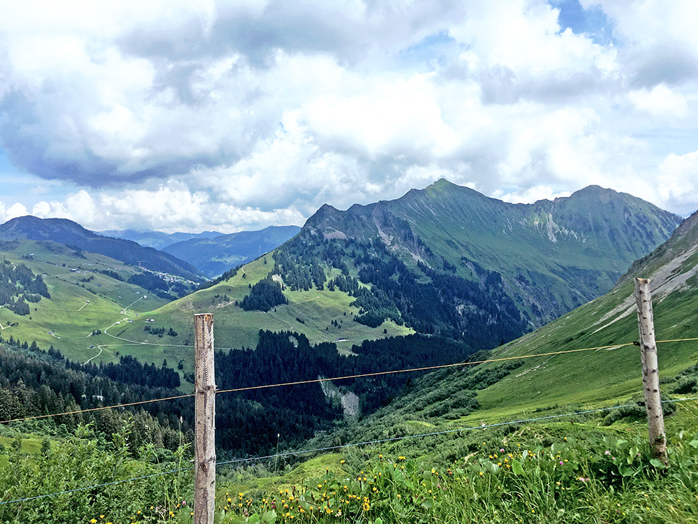 Tour of the Alps 2020