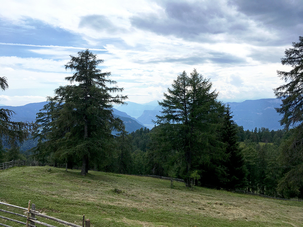 Schmiederalm/Malga Schmieder