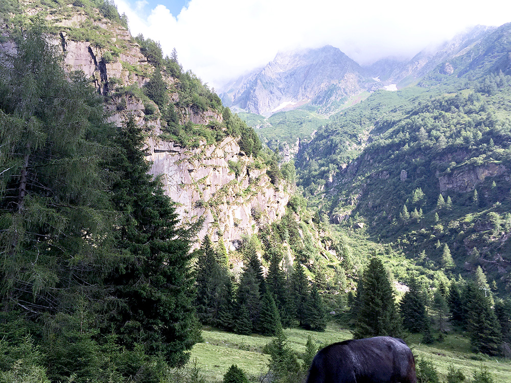 Malga Lincino/Val di Saviore