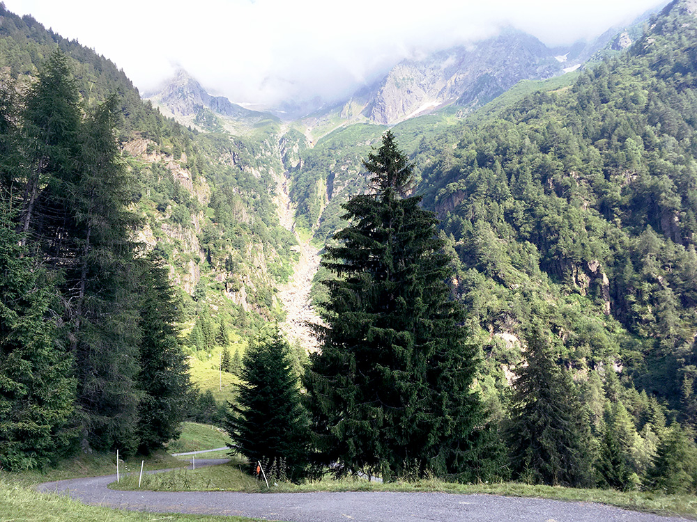 Malga Lincino/Val di Saviore