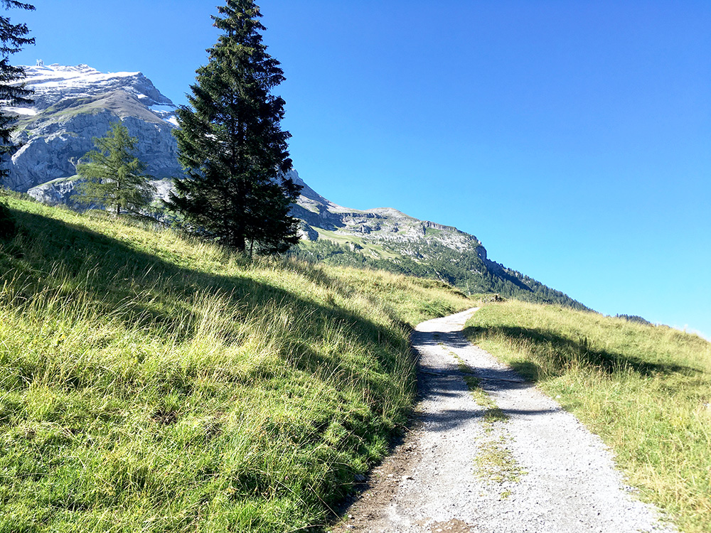 Col du Pillon