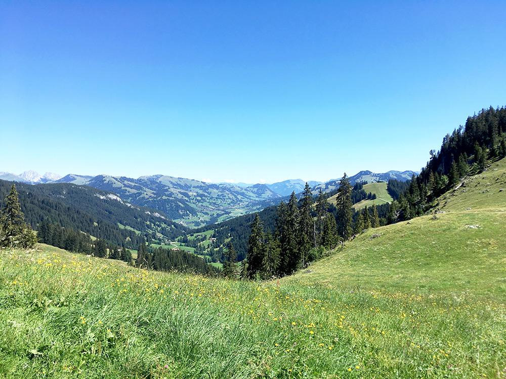 Col de Wild Boden