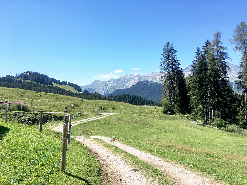 Col des Planards